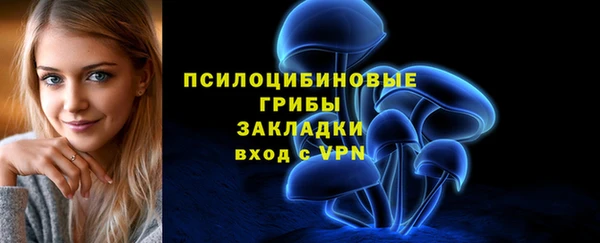 индика Балахна