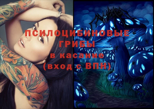 спиды Арсеньев